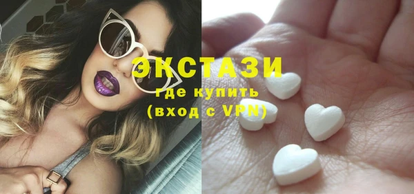 стаф Каменка