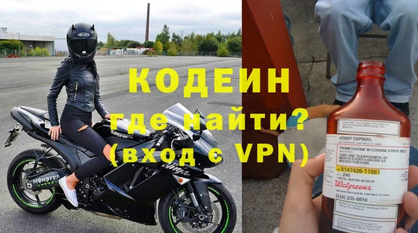 стаф Каменка