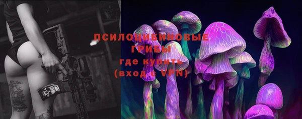 стаф Каменка