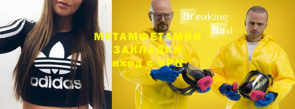 стаф Каменка