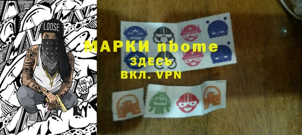 стаф Каменка