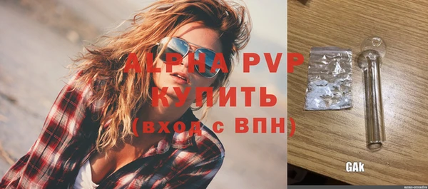 стаф Каменка