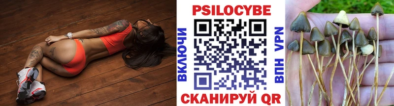 Купить закладки  Боровичи  Галлюциногенные грибы Psilocybe 